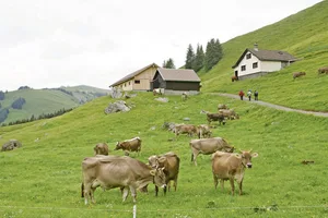 Trockenperioden führten dazu, dass Wasser auf der Schwägalp knapp wurde. Das soll sich ändern.