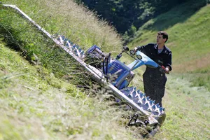 Silvan Erni von der Erni Landmaschinen AG in Menznau LU beherrscht den Einachsmäher von Brielmaier mit 3-Meter-Mähwerk-Schnittbreite auch im steilsten Gelände. (Bild «die grüne»/Martina Rüegger)
