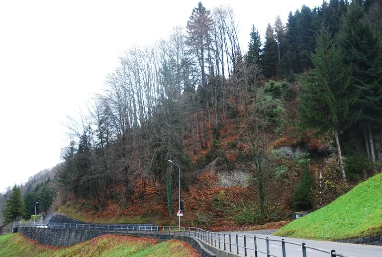 3f40e329f16b4c8a07ebafb96b514e3cb8b57ab2 Schutzwald schützt Infrastrukturen - wie hier eine Strasse - vor Erdrutschen und Steinschlägen. (Bild Kanton Nidwalden)