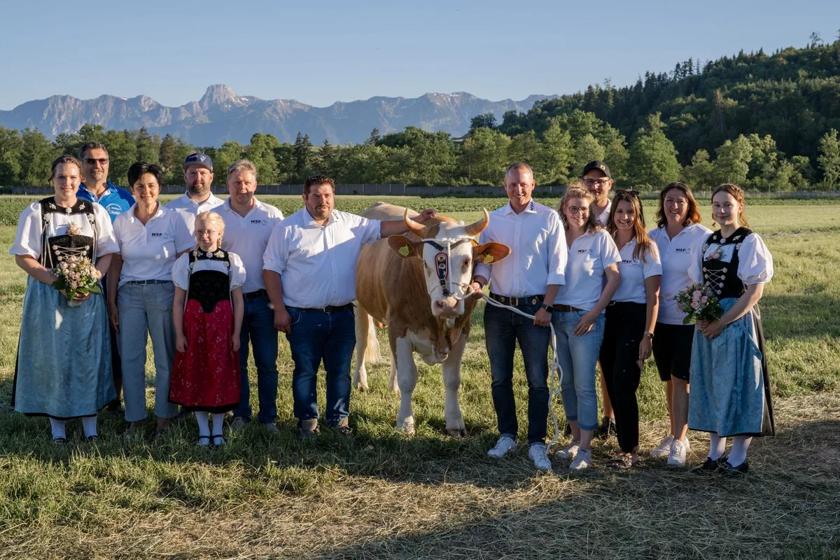 Munitaufe_MSF_2027_-_Kern-OK_mit_JUMARO Der Siegermuni des Mittelländischen Schwingfests heisst Jumaro
