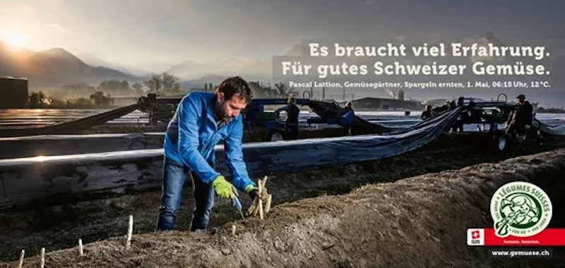 08b94b324ed912656717cf533d3d579a Sie Plakate sollen die Arbeiten von Gemüsebauern ihren Mitarbeitenden im Jahresverlauf zeigen. (Bild VSGP)