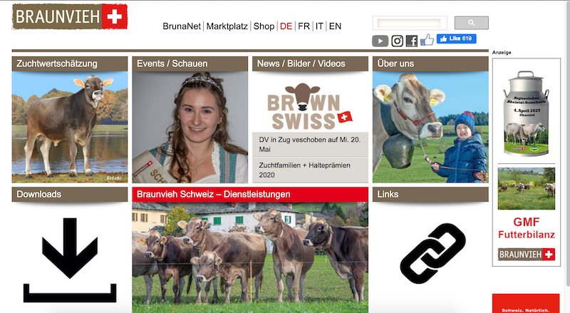 Neues Datum für die DV von Braunvieh Schweiz: 20. Mai in Zug. (Bild pf)