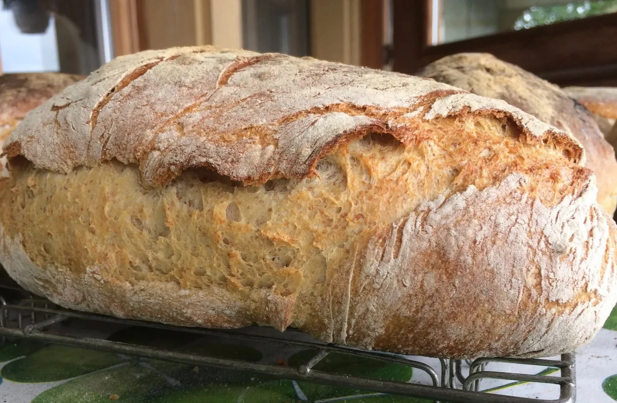 IMG_93cvbn01 Wettbewerbskommission prüft Brotmarkt: Aldi Suisse und Grossverteiler verteidigen Preissenkungen