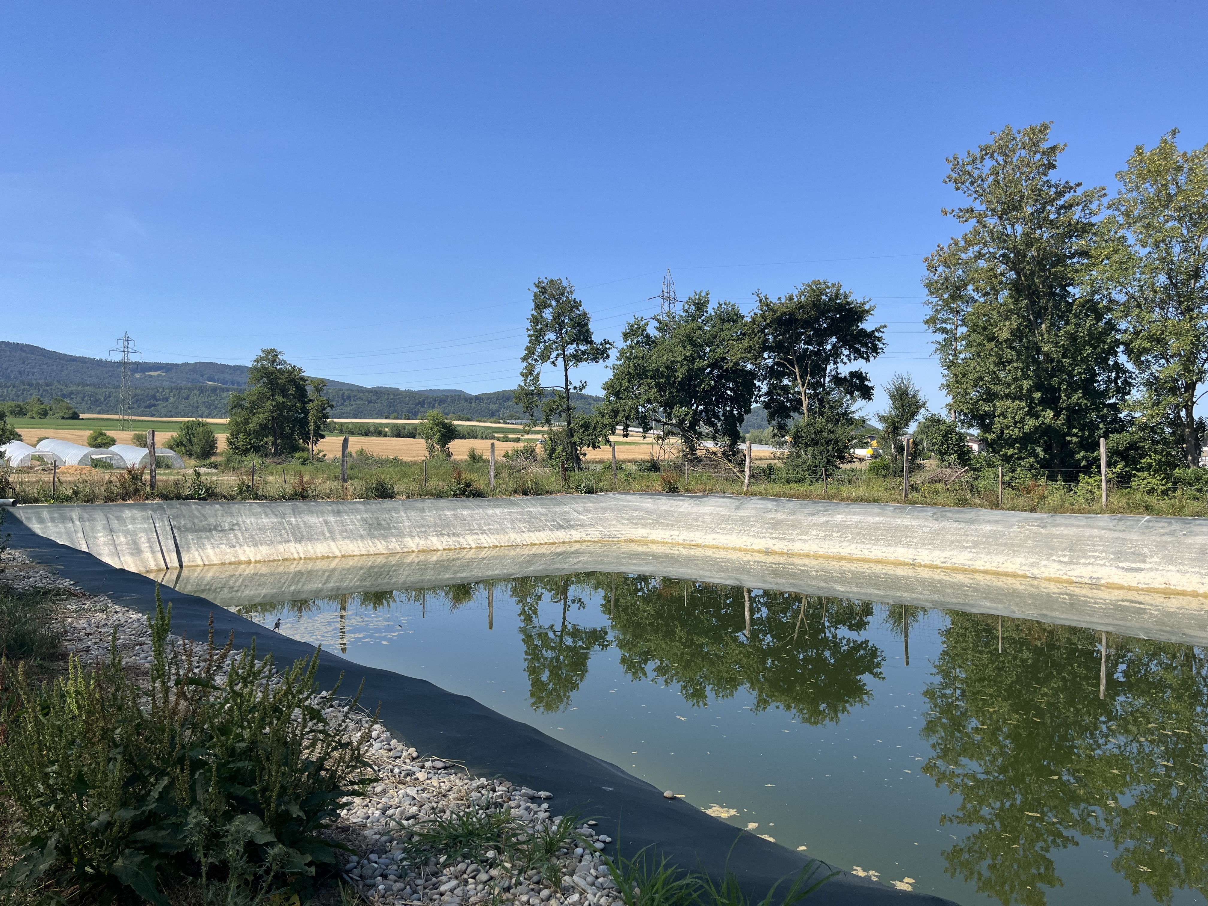 Trotz anhaltender Trockenheit liefert das Regenwasserbecken immer noch Wasser für das Gewächshaus. 