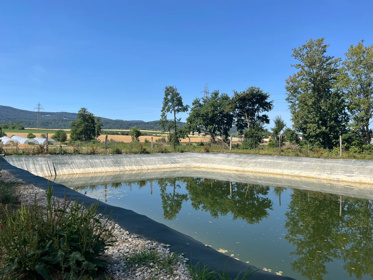 Regenwasser-Becken Birsmattehof Trotz anhaltender Trockenheit liefert das Regenwasserbecken immer noch Wasser für das Gewächshaus.