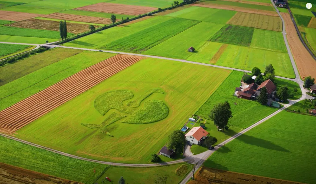 1e1b0a53496a257bf1fc11bf5a5812649b3d087f Adrian Wenger hat auf seinem Hof einen Strauss aus blühenden Blumen ins Feld gemacht. (Bild Screenshot)
