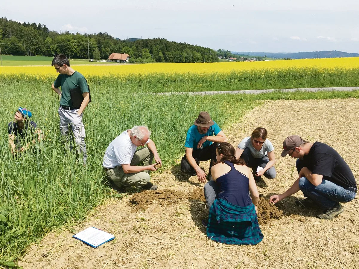 3e96eaed6692ab7cad26f54adbef439af0d10990 Die Arbeitskreismitglieder schauen ganz genau hin: Gründüngung Wintergrün, Sativa, rechts oberflächlich eingearbeitet, links noch stehend.(Bild zVg)