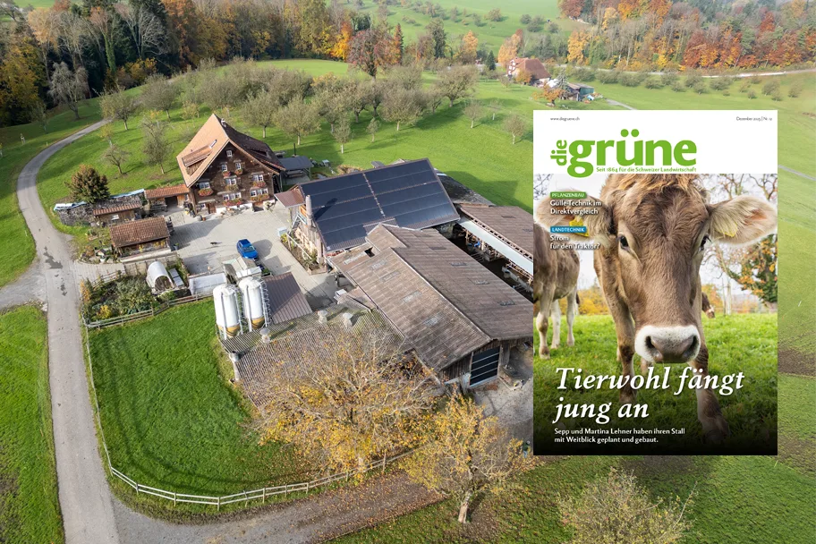 «die grüne» im Dezember 2025 – Tierwohl fängt jung an