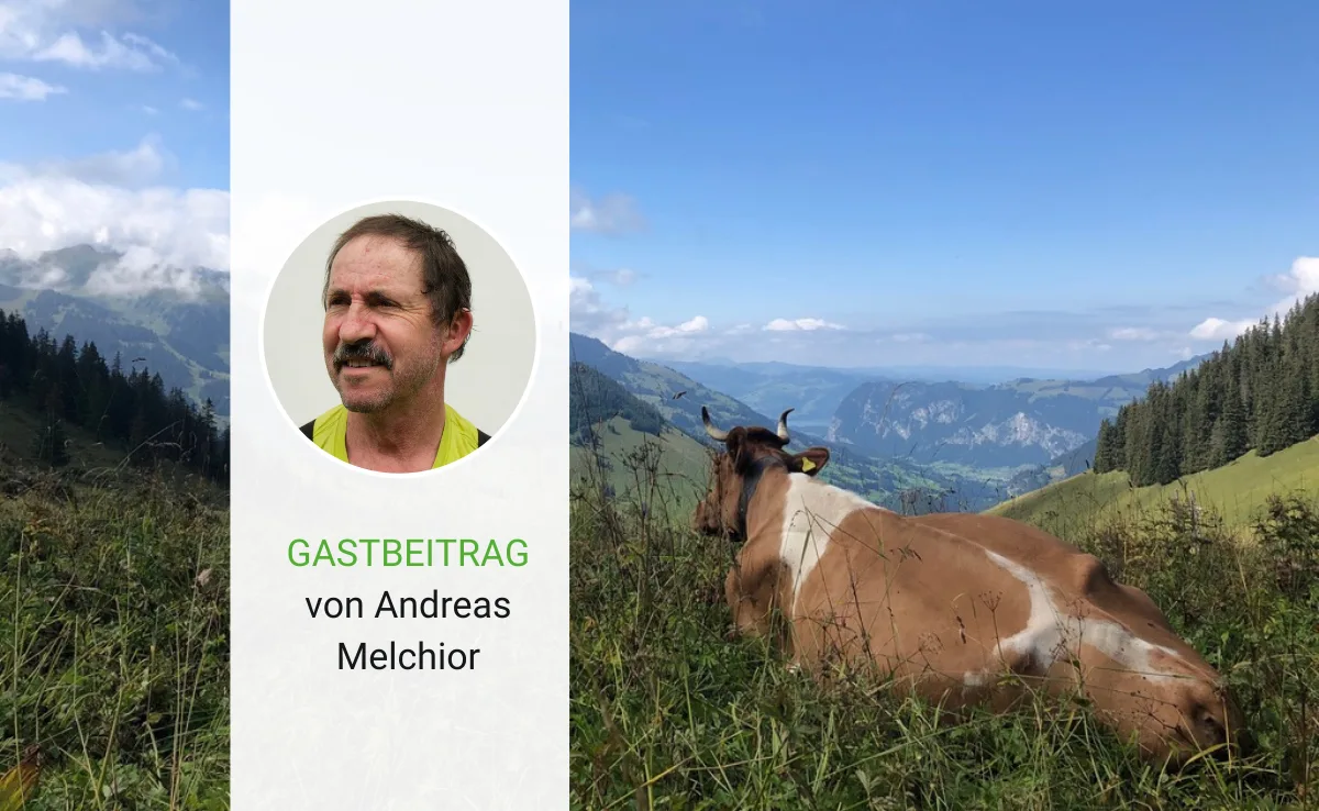 Mit gutem Gewissen Milch und Fleisch produzieren