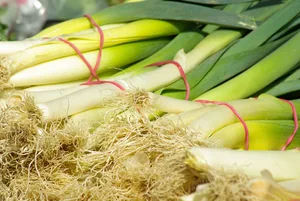 Vom Lauch kann man sowohl den weissen Teil als auch die grünen Blätter essen. In Läden kann man aber häufig nur die weissen Stangen kaufen, das Grün wurde zuvor weggerüstet – ein Präferenzverlust. (Bild Pixabay)