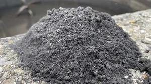 Wichtig wäre eine Anpassung der Regeln bezüglich Rohmaterial für die Pyrolyse, finden die Forschenden: Reststoffe sollten zugelassen werden – das das hätte ökologische und agronomische Vorteile. (Bild Grün Stadt Zürich)