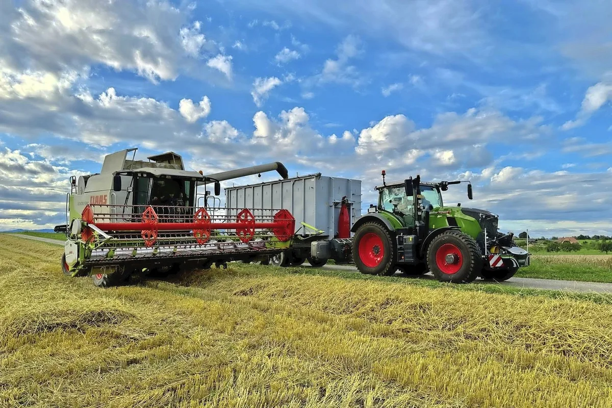 DG_LT1_Erntetransport_Bild5 Der Abtransport der Ernte direkt ab dem Feldrand erfolgt immer öfter durch professionelle Transportunternehmer.