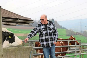 Die Milchwirtschaft auf Patrick Müllers Hof läuft wieder rund. Zur Durchleitung des Stroms über sein Land hat er nichts mehr zu sagen, er wurde enteignet.