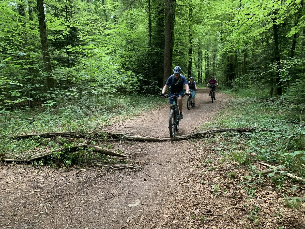 Biken_im_Wald_Kopie Kontroverse um Bikewege im Wald: «Diese Karte darf nicht Grundlage für neue Nutzungsrechte sein»