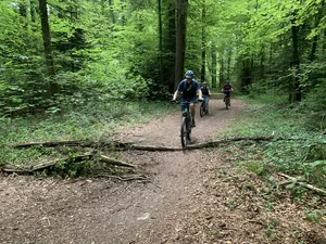 Auf welchen Waldwegen dürfen Biker fahren? Das gibt derzeit in vielen Kantonen zu reden.