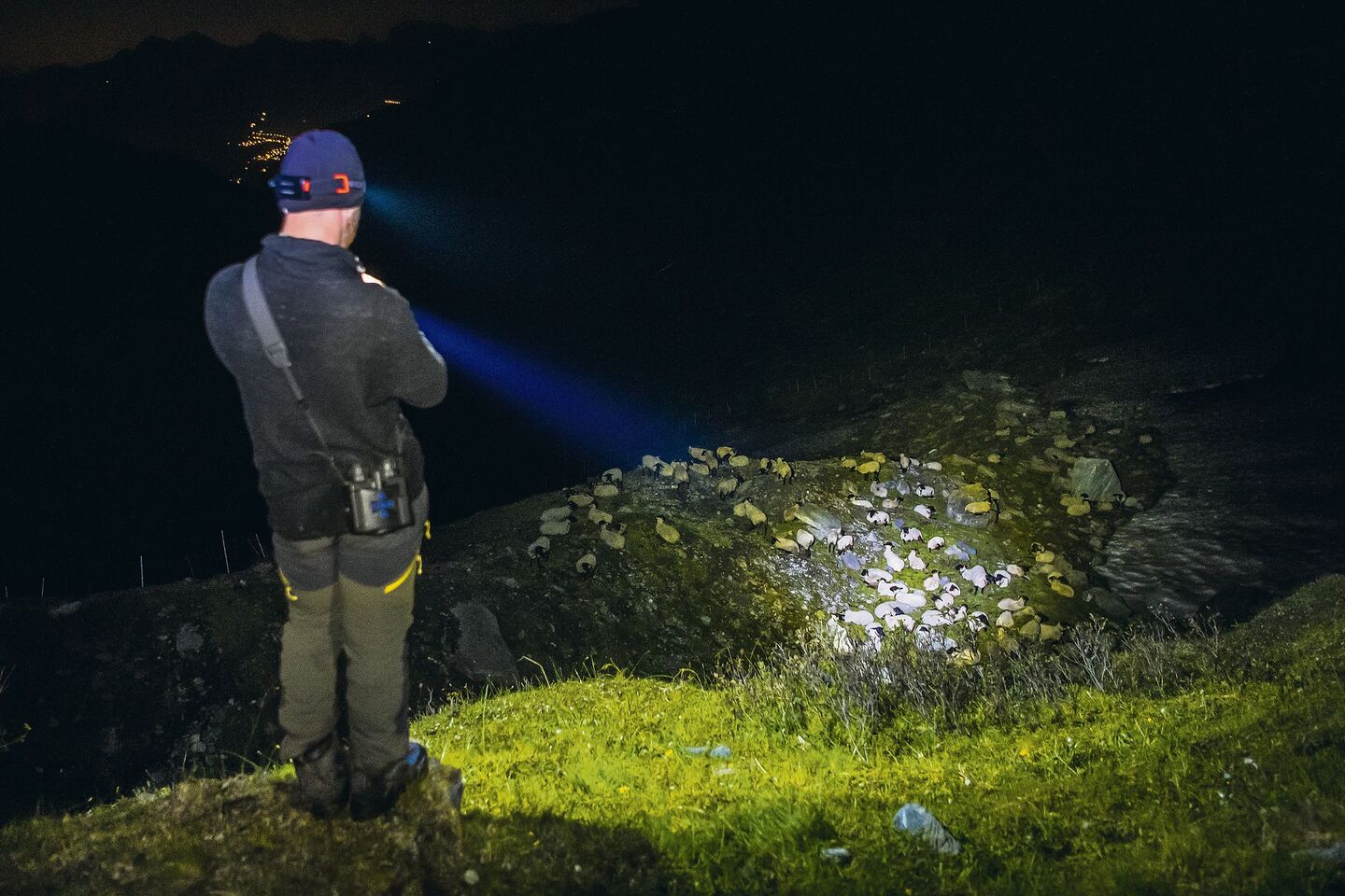 Mit der Dunkelheit verstärkt sich die Anspannung: Ein Hirte bewacht nachts Schafe auf der Alp La Corbassière im Val de Bagnes VS, um sie vor Wolfsangriffen zu schützen.
