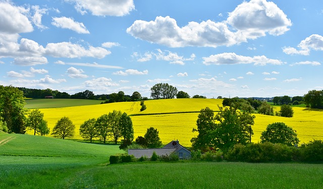 Klimaschutz müsse wirksam und nachhaltig sein, so die Landesregierung in Bayern. (Symbolbild Pixabay)