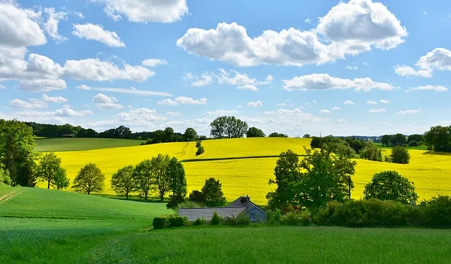 02a0e8cfead4e452477c8b4f032072ae79f4cdfe Klimaschutz müsse wirksam und nachhaltig sein, so die Landesregierung in Bayern. (Symbolbild Pixabay)