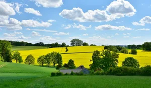 Klimaschutz müsse wirksam und nachhaltig sein, so die Landesregierung in Bayern. (Symbolbild Pixabay)
