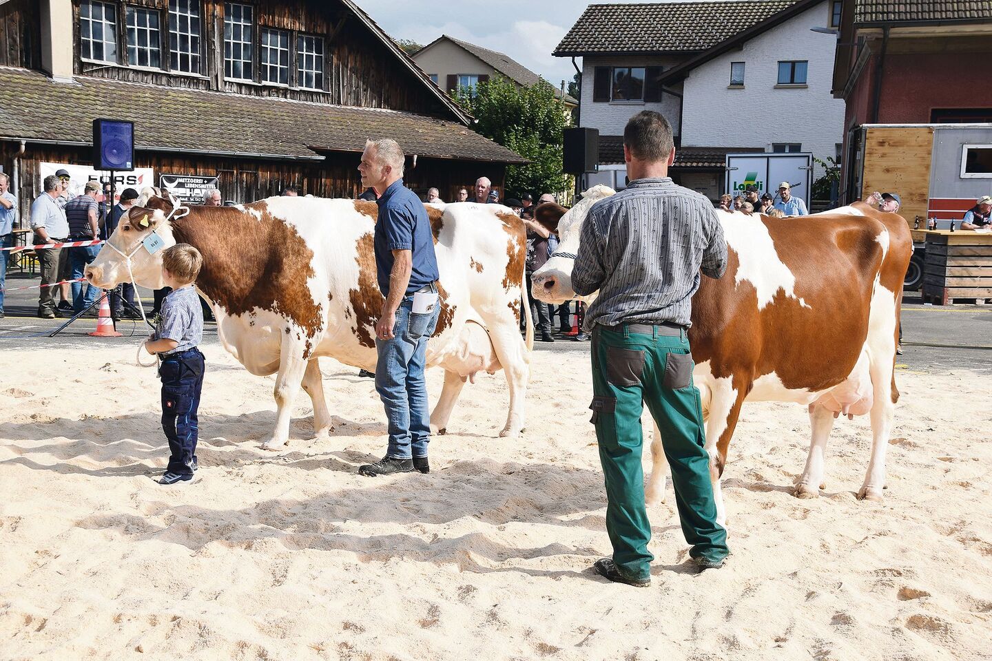 An der Jubiläumsschau in Langenthal stimmte einfach alles