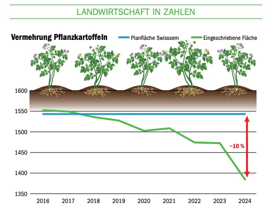 Bildschirmfoto_2024-02-08_um_15.08.11 Bei den Pflanzkartoffeln beträgt die Lücke 10 Prozent