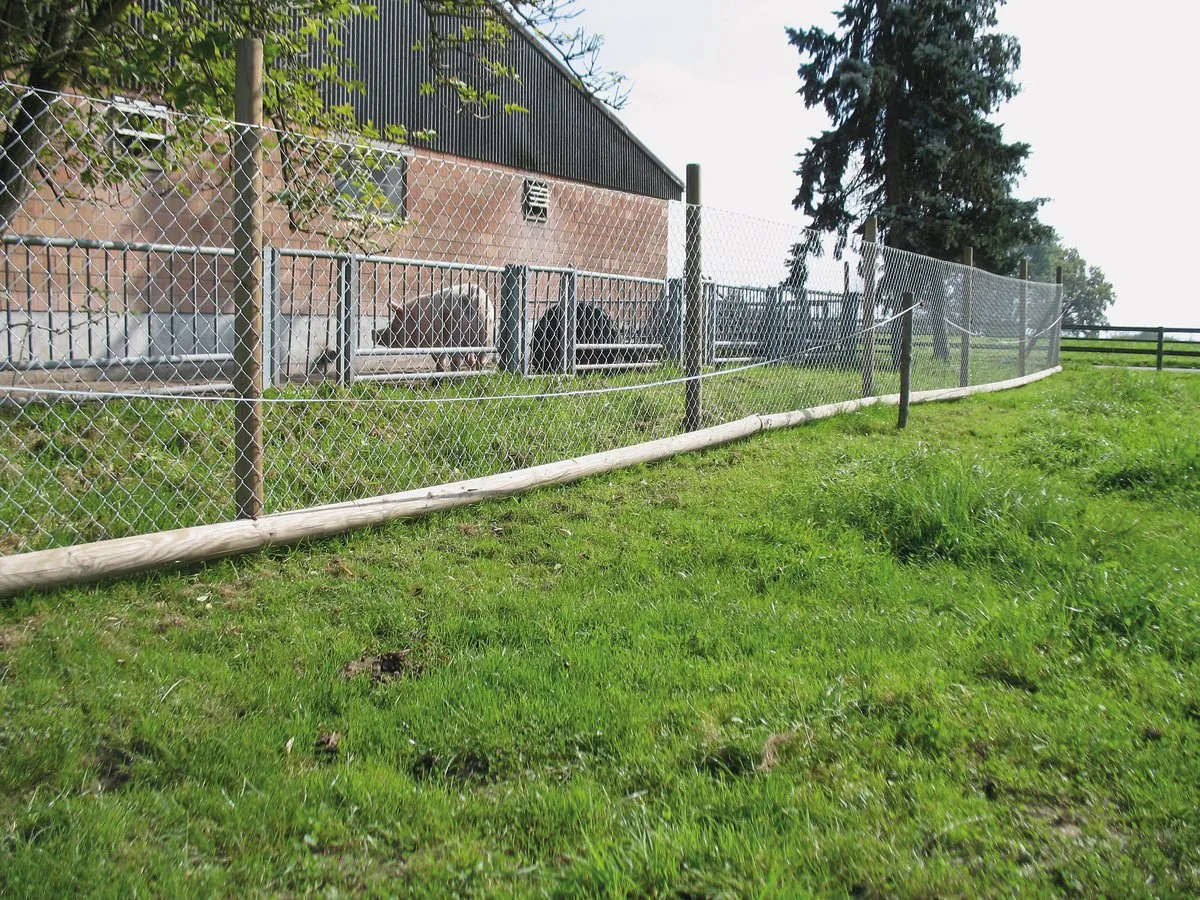 4a7d9c27a691b354bee3963aaebcd1430348fb4d Als Schutz gegen die Afrikanische Schweinepest empfiehlt der SGD, den ganzen Betrieb zu umzäunen und so vor Wildschweinen abzuschirmen. Bild: Suisag