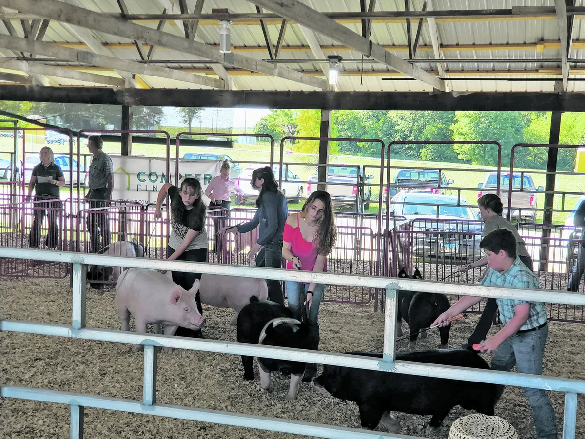 «Etwas Spass nach der vielen Arbeit»: Familie Annegers besucht den County Fair