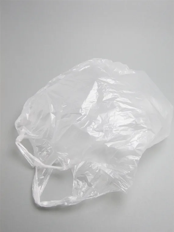 Über ein Verbot der Gratis-Plastiksäcke wird in der Schweiz schon länger diskutiert. (Bild Ralph Aichinger/pixelio.de)