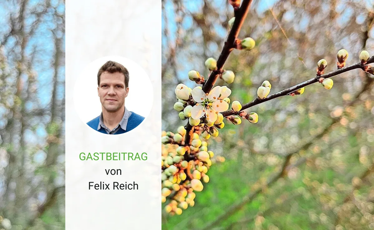 Artikel_Gastbeitrag_BauZ_ReichOstern Ostern ist ein flüchtiges Ereignis