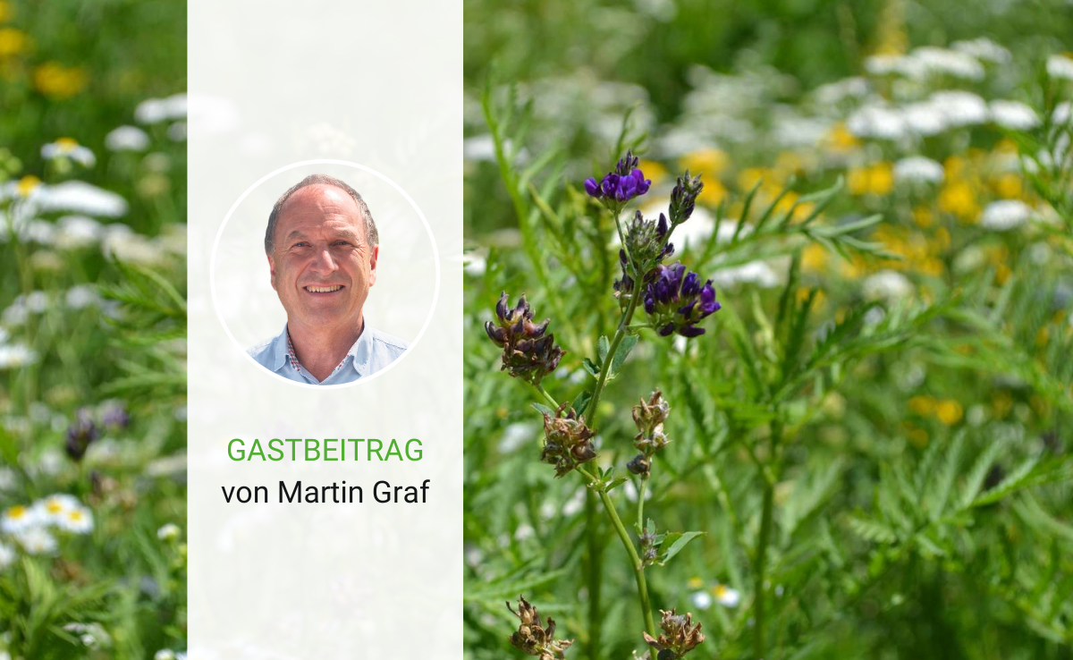 Moderne Technik ist nicht immer die Lösung
