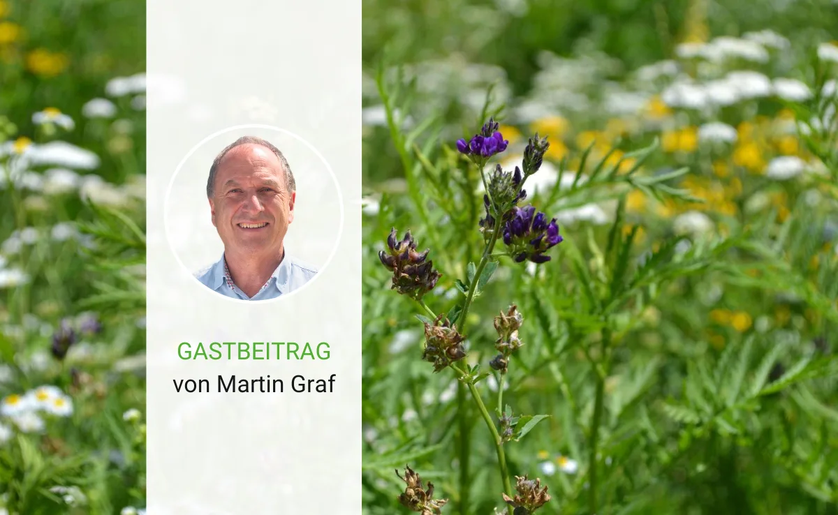 Moderne Technik ist nicht immer die Lösung