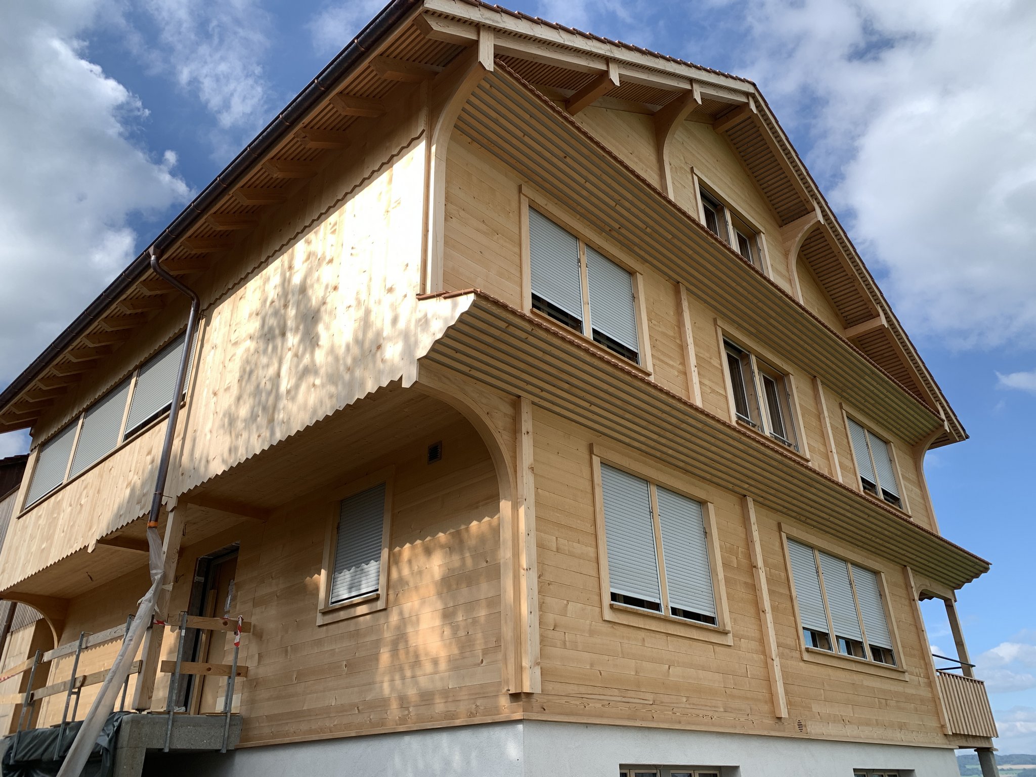 Wald und Holz dienen als CO2-Speicher – die richtige Bewirtschaftung ist dabei aber zentral