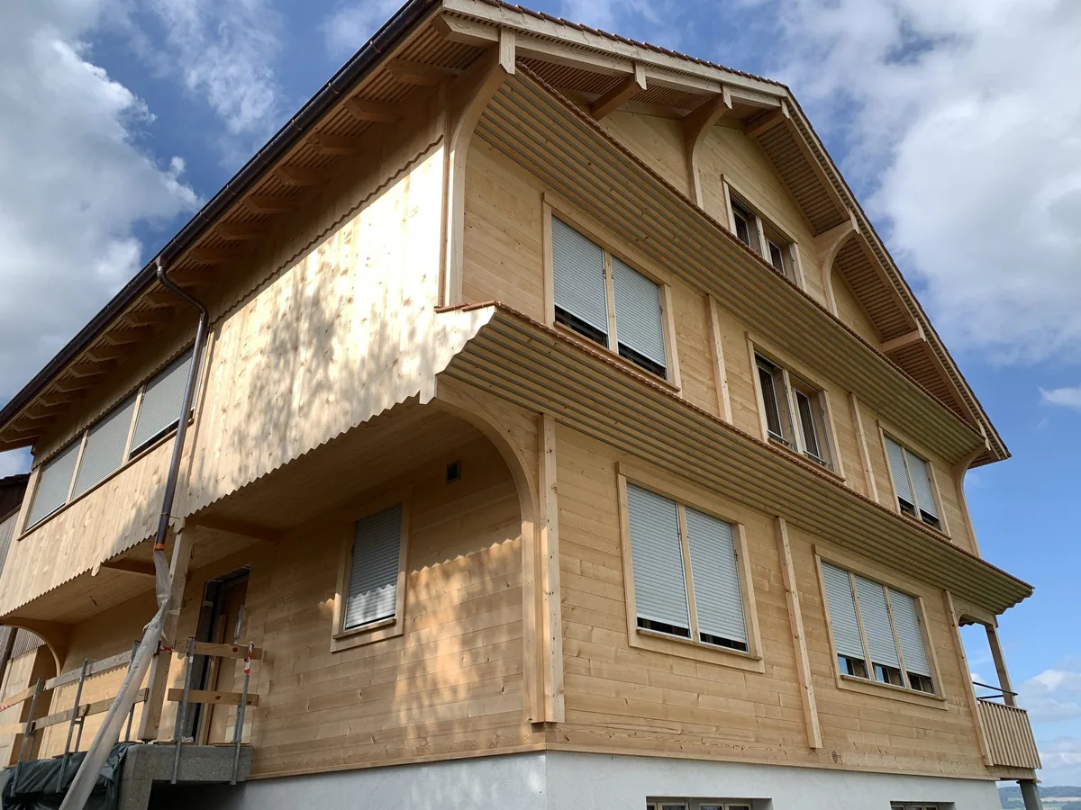 Wald und Holz dienen als CO2-Speicher – die richtige Bewirtschaftung ist dabei aber zentral