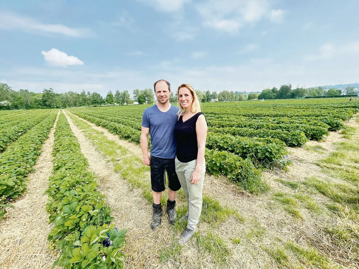 Jürg und Priska Morf organisieren das Singlepflücken und machen Selfpick im grossen Stil mit Erdbeeren und Gemüse.
