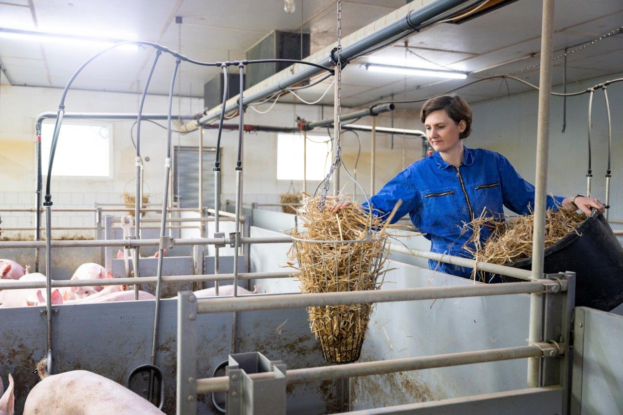 Theresa Ungru ist Landwirtin des Jahres 2026 – passend zum UNO-Jahr der Landwirtin.
