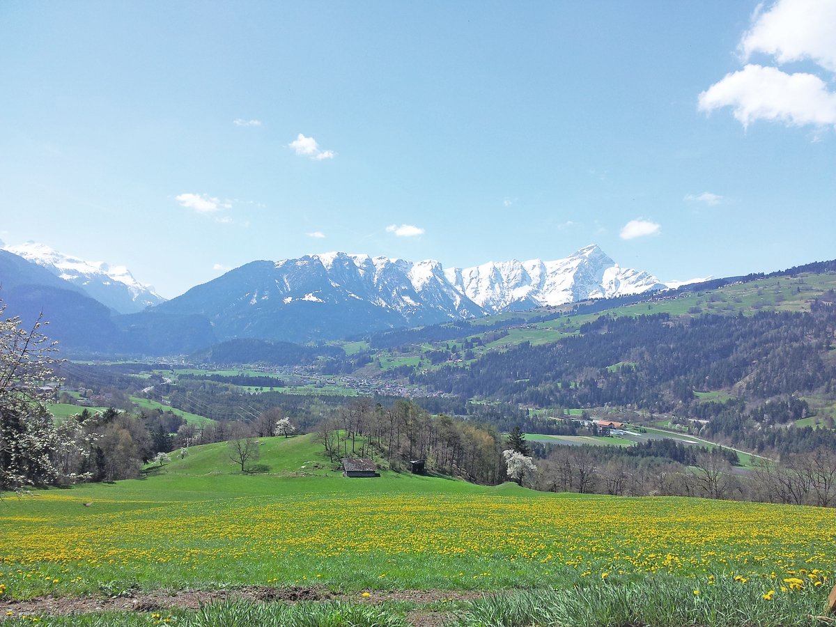 1994 entstand in Domleschg GR der Vorgänger der Landschaftqualitätsprojekte. Der mit der AP&nbsp;2014–17 eingeführte Beitrag schaffte es sogar ins Parlament.			(Bild BauZ)