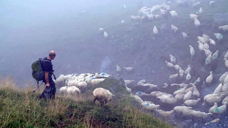 9708ca249f8283ce8310e48b51ba25e43e4b6aa9 Im Film kommen verschiedene Parteien zu Wort, auch Schafhalter und Hirten. Im Bild Ueli Metz auf der Alp Ramuz GR. (Bilder zVg)