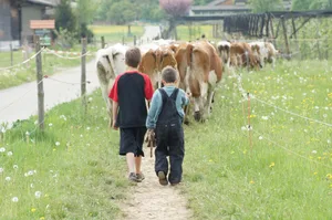 Bauernkinder sind seltener von Allergien betroffen, was auf die Aufnahme des Proteins Beta-Lactoglobulin (BLG) zurückgeführt wird. In Verbindung mit den richtigen Stoffen kann es zum Schutz vor Asthma und Allergien beitragen, schreiben Wiener Forschende.