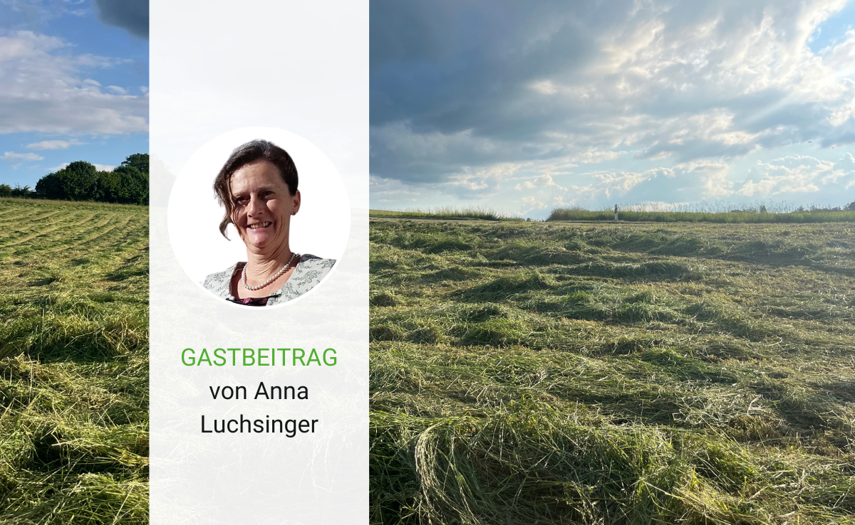 In der Landwirtschaft ist das Wetter Thema Nummer 1