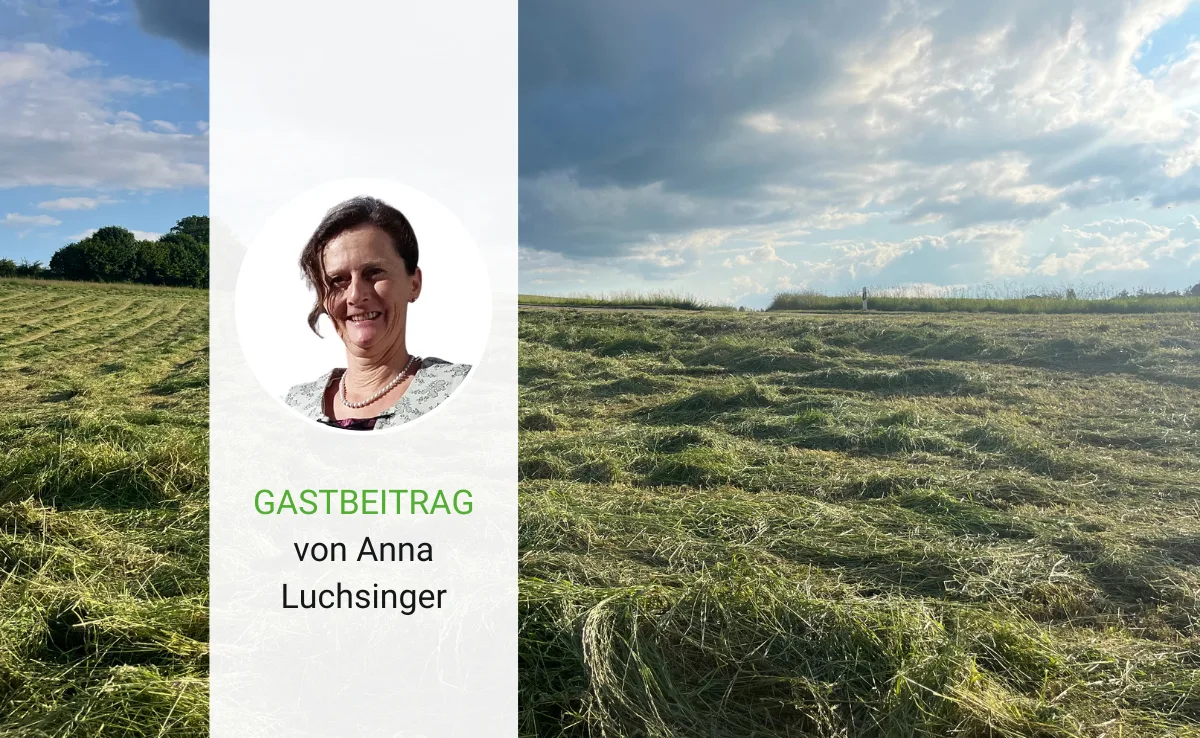 Artikel_Gastbeitrag_BauZ_LuchsingerWetter In der Landwirtschaft ist das Wetter Thema Nummer 1