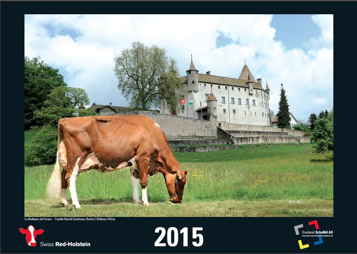38b1a1110a7e7df0848221fc89dd8601b76b7eb3 So präsentiert sich der neue Kalender von Swiss Red-Holstein. (Bild: zVg)