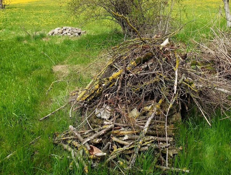 cfa0a965a257761a2c4ee192b2f751a9ab9109fe Strukturelemente wie Ast- oder Steinhaufen bieten Insekten und anderen Tieren Unterschlupf. (Bild Markus Jenny)