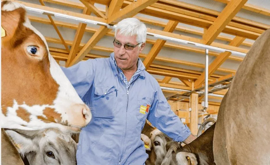 Michael Hässig leitet das Diagnostikzentrum für Nutztiere an der Vetsuisse-Fakultät der Universitäten Bern und Zürich. (Bild Michael Hässig)