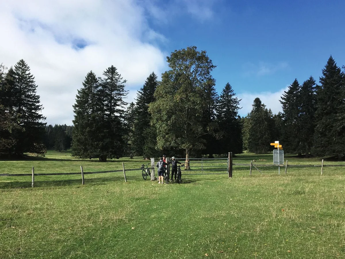 0e269da7edc2089ab218b51acccbe25e8eec61edcea20ebc04647df8643f89e6 Wer zahlt, wenn einer der Mountainbiker durch eine Kuh verletzt wird, die aus der Weide ausbricht? Die Betriebshaftpflichtversicherung gibt Sicherheit im Schadensfall.