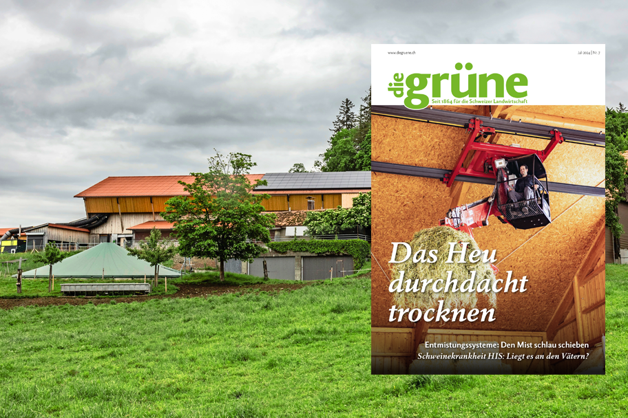 «die grüne» im Juli 2024 – Das Heu durchdacht trocknen