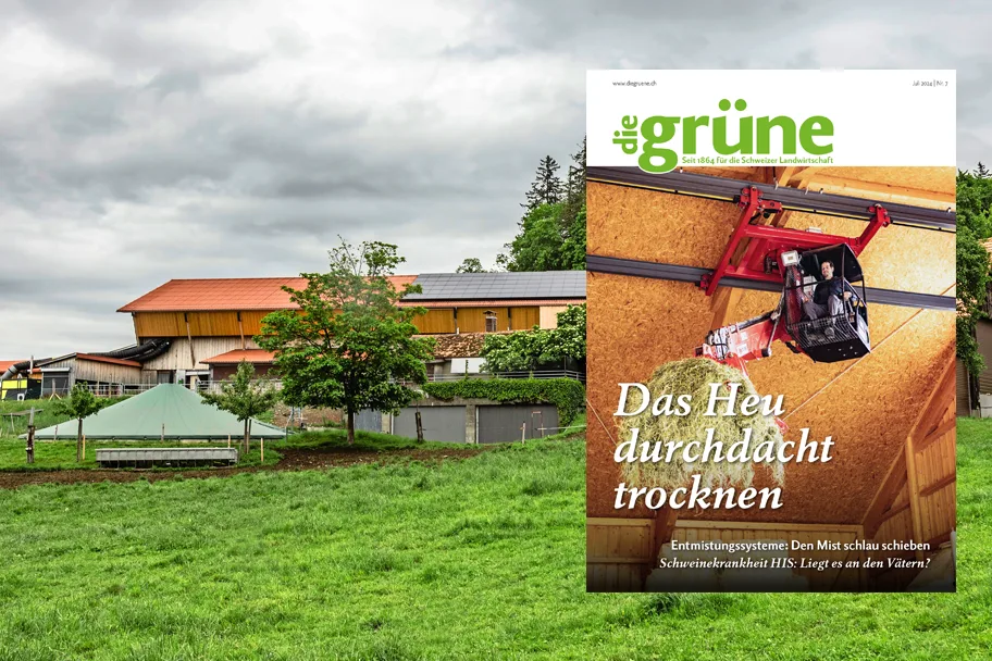 «die grüne» im Juli 2024 – Das Heu durchdacht trocknen