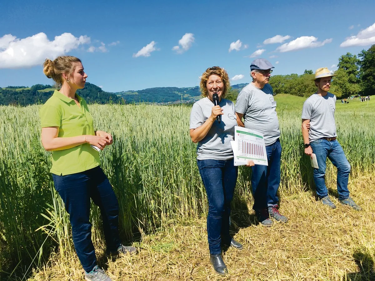 f956b5cefe50a2ddd8474ecd3a95596d9f1b95f9 Levy Lilia von der Agroscope (mitte) gibt den Besucherinnen und Besuchern Einblick in die Getreidezüchtung. (Bild lko)