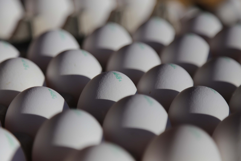 Gesund und einfach zubereitet: Eier. (Bild lid/ ji)