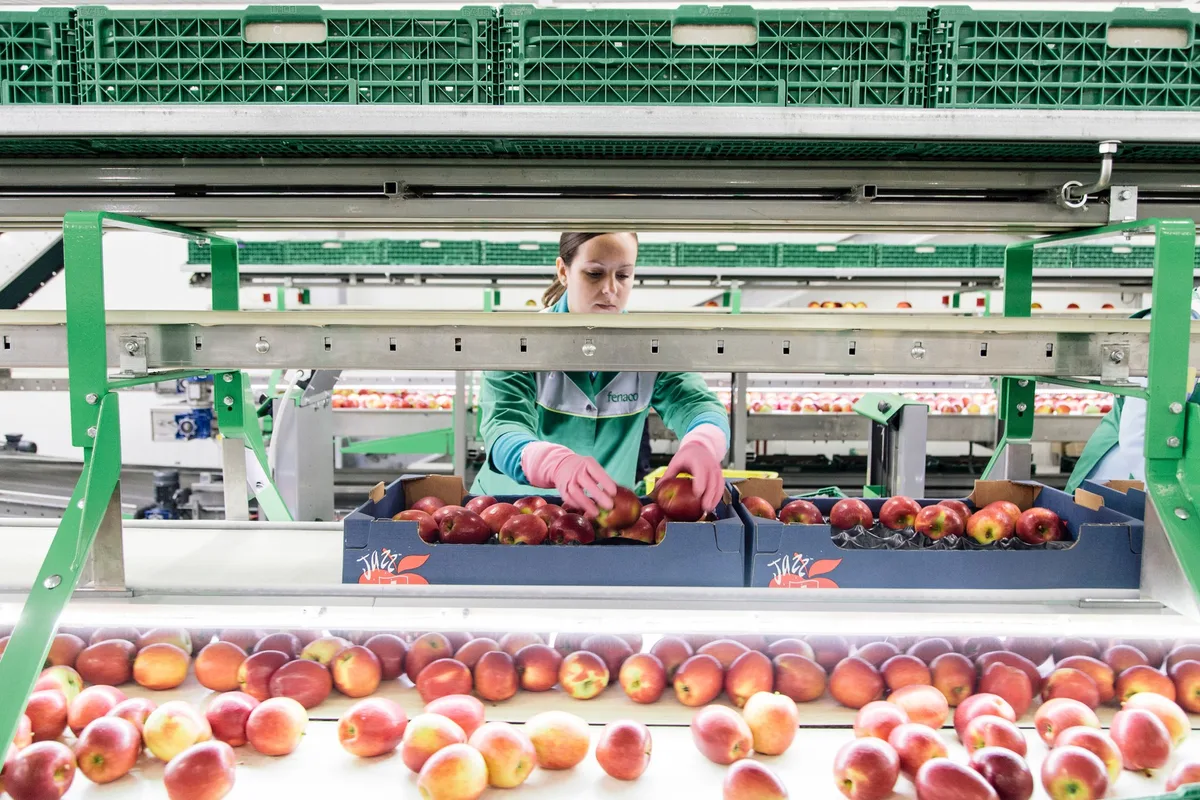 aepfel_verarbeitung_4 Fenaco Landesprodukte übernimmt Green Pack Swiss und Bio Pack Swiss