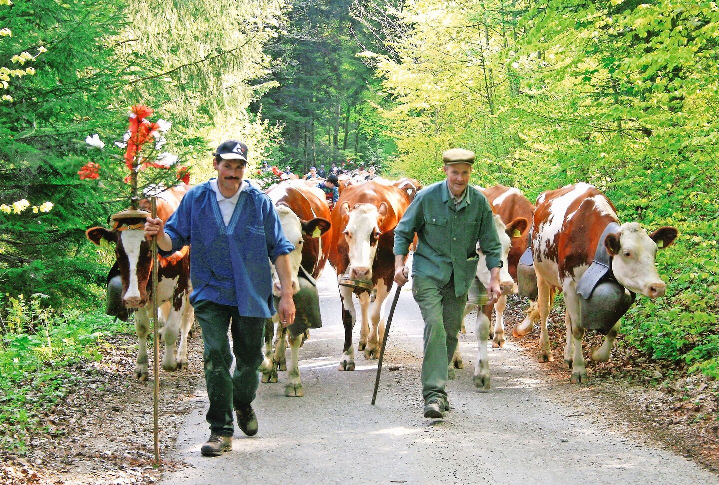 Alfred (r.) und sein Sohn Daniel Bühler bei der Alpauffahrt.